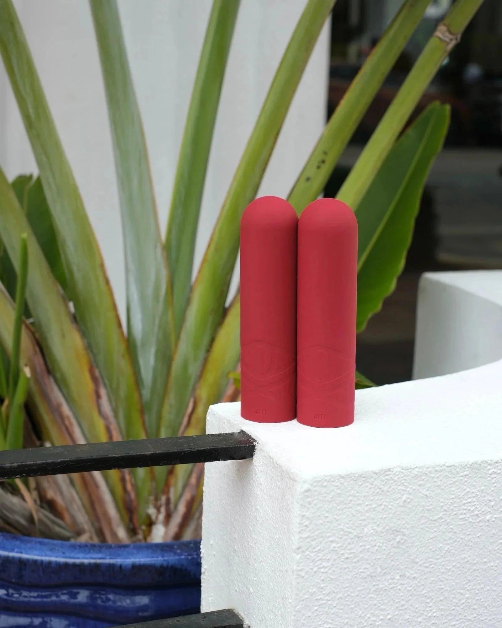 silicone dumbbells standing with plants on the background