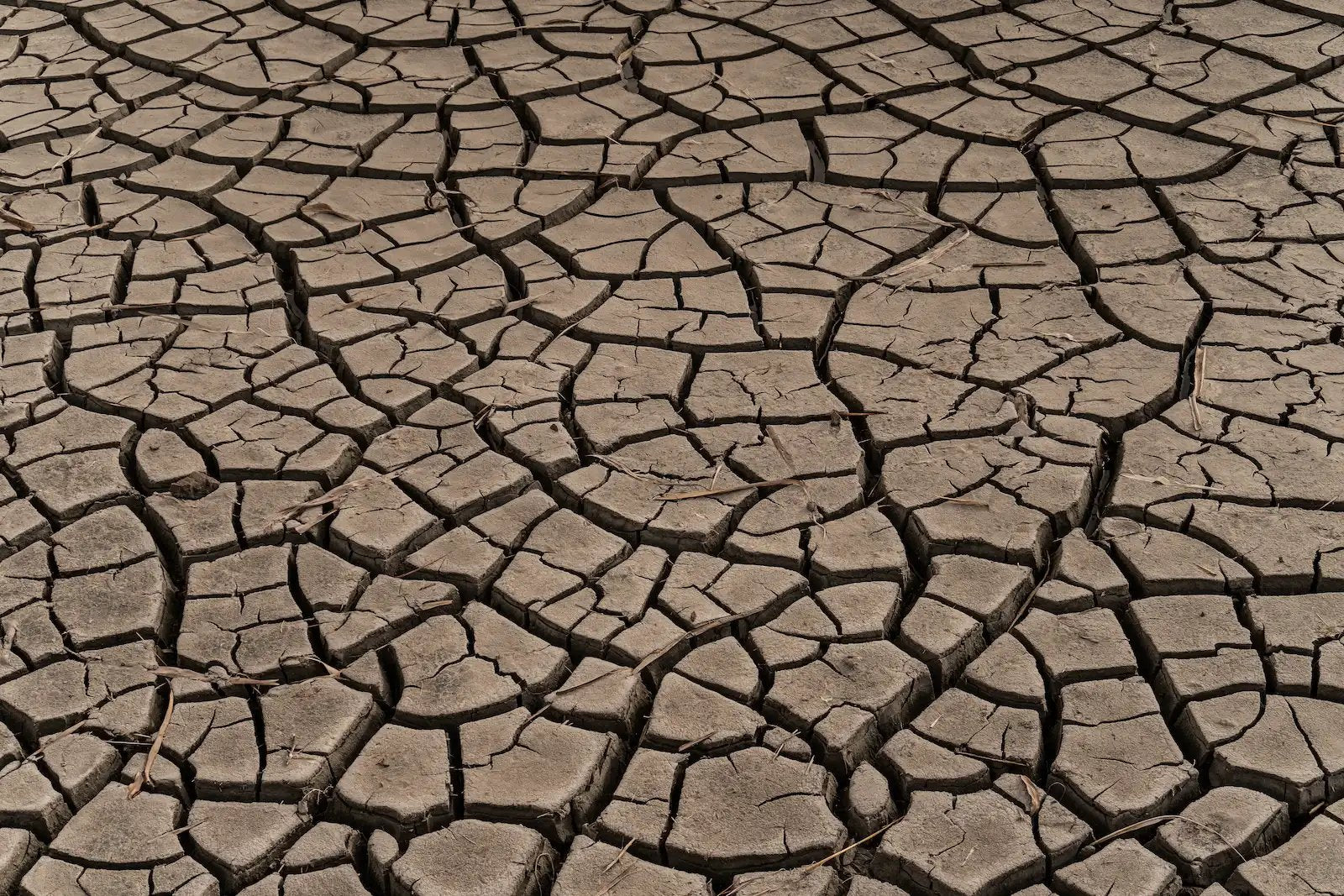 clay cracks on the bottom of dry gray lake