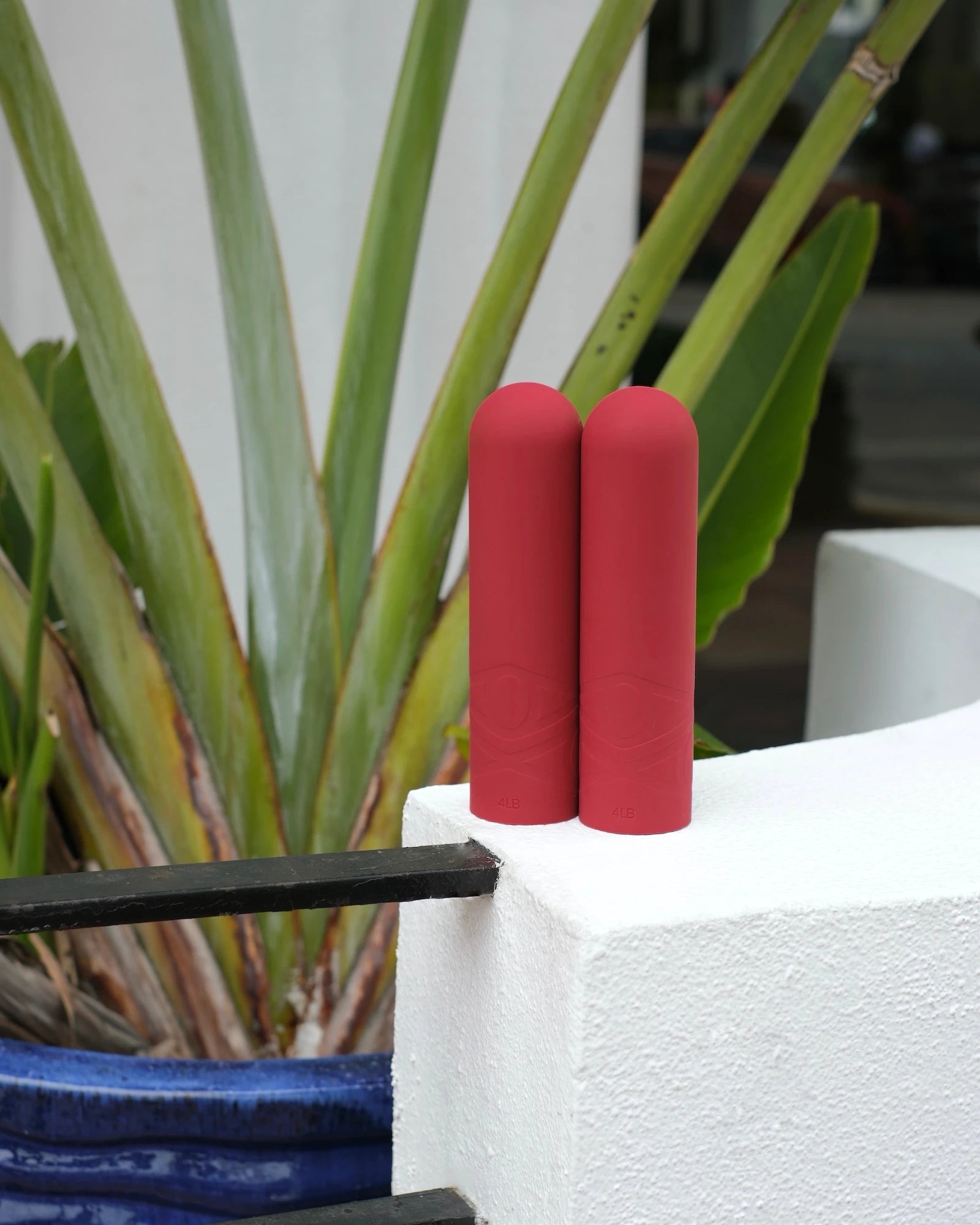 silicone dumbbells standing with plants on the background